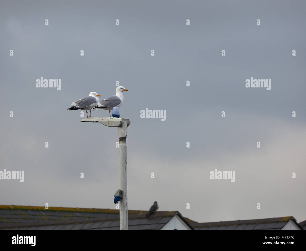 Sheerness, Kent, UK. 13th March, 2018. UK Weather: an overcast and quite warm morning in Sheerness with a few sunny spells. Credit: James Bell/Alamy Live News Stock Photo