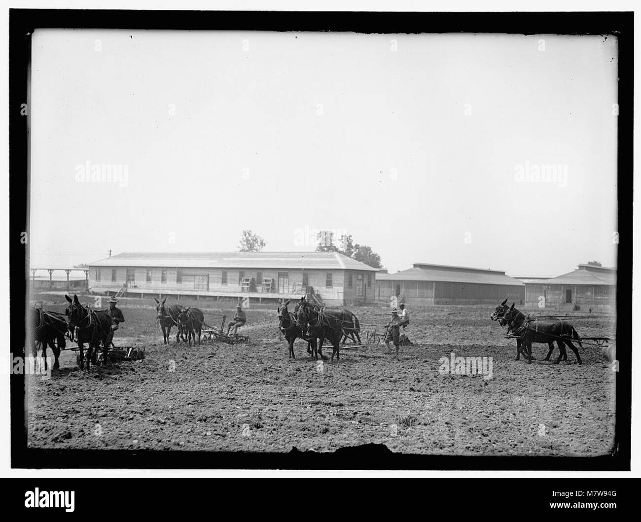 War miscellaneous Black and White Stock