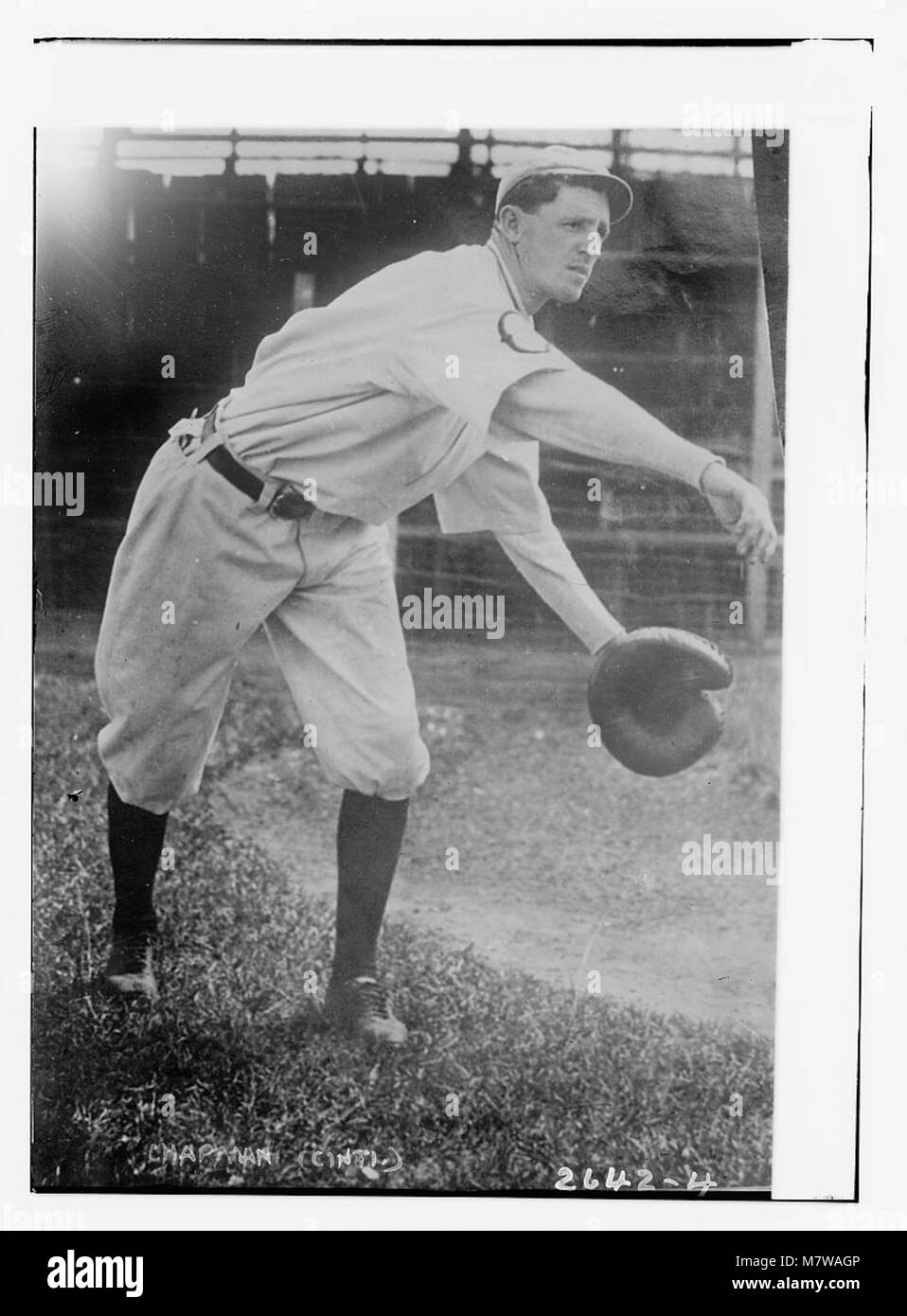 Harry Chapman, Cincinnati NL (baseball) LCCN2014696688 Stock Photo