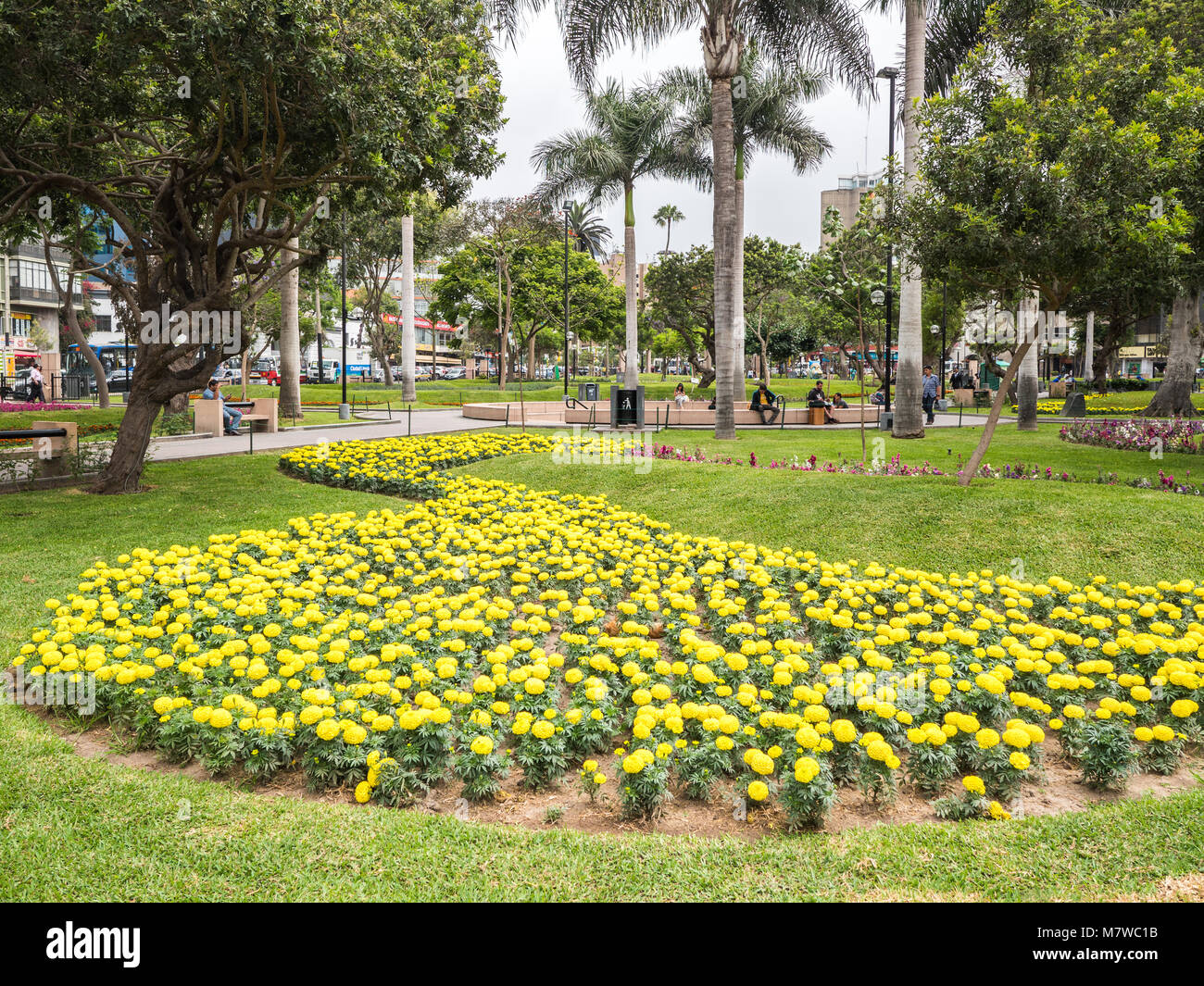 Lima, Peru December 30, 2016 Kennedy Park gardens with the colored flowers Stock Photo Alamy