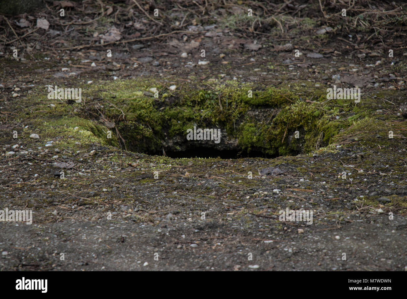 Ground Hole Images – Browse 80,983 Stock Photos, Vectors, and Video