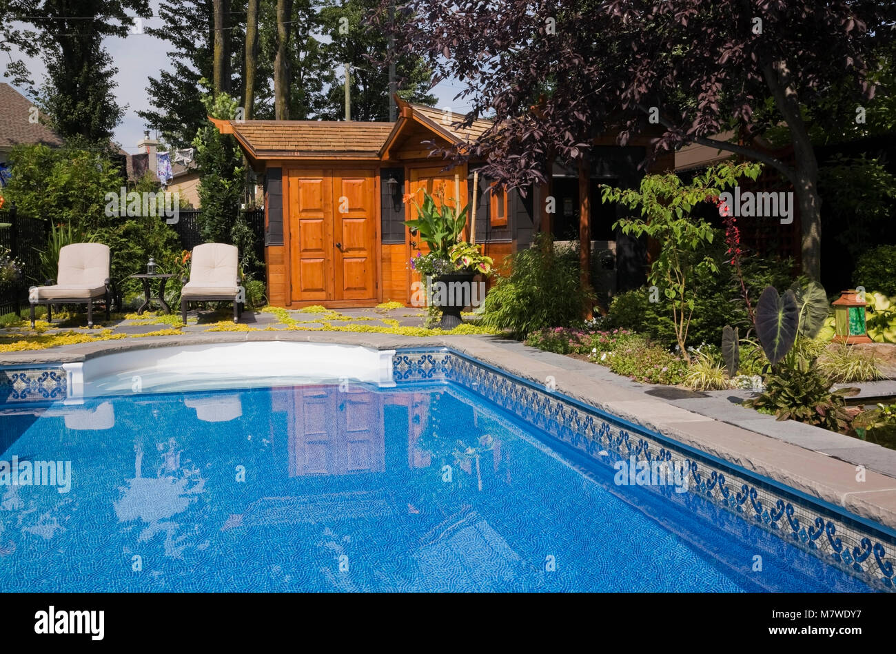 Swimming pool and long chairs on patio stones next to a storage shed in a landscaped residential backyard in summer. Stock Photo
