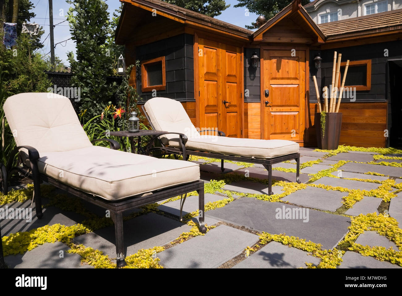 Long chairs on patio stones next to a storage shed in a landscaped residential backyard in summer. Stock Photo