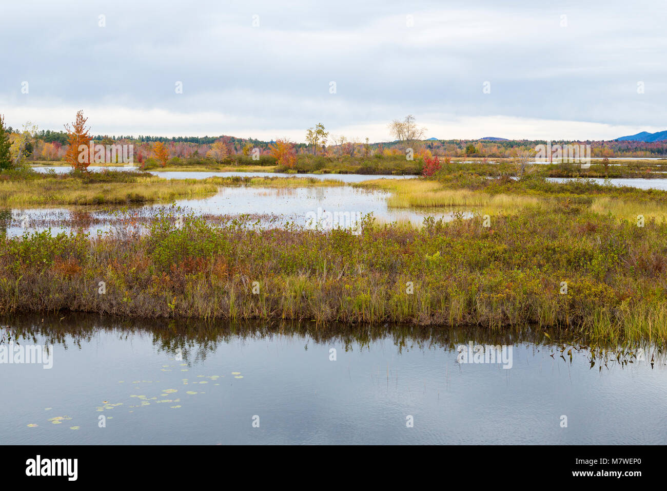 Tupper Lake in Fall Foliage, Upper New York State, USA Stock Photo Alamy