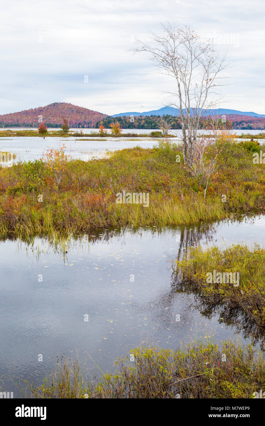 Tupper Lake in Fall Foliage, Upper New York State, USA. Stock Photo