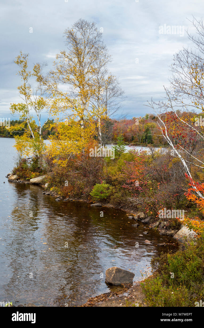 Tupper Lake in Fall Foliage, Upper New York State, USA. Stock Photo