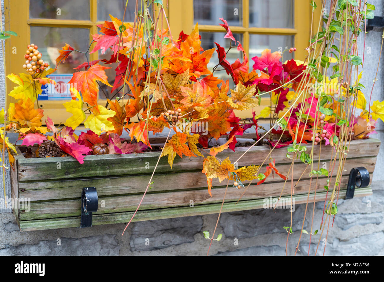 Autumn decorations hires stock photography and images Alamy