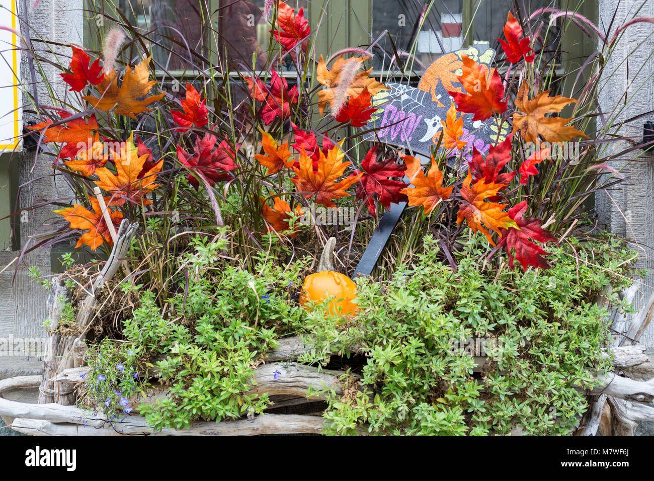 Autumn decorations hires stock photography and images Alamy
