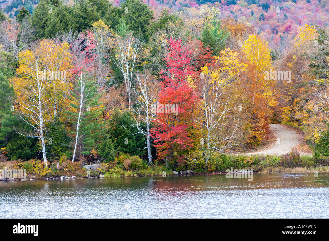 Simon Pond, Raquette River, Upper New York State, USA.  Fall Foliage Views along State Highway 30. Stock Photo