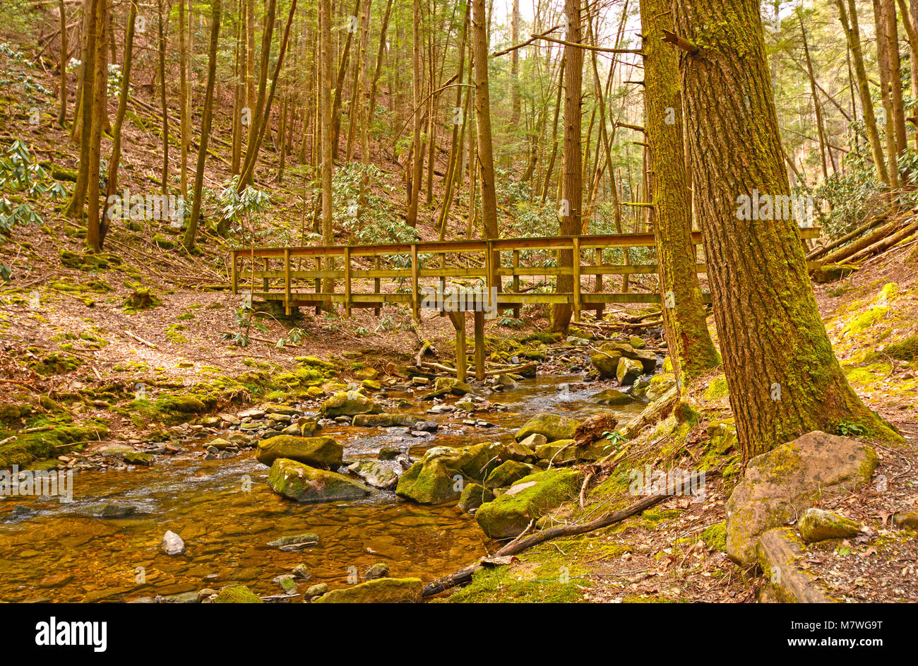 Wilderness Bridge on a Forest trail in Cumberland Gap National Park in Kentucky Stock Photo