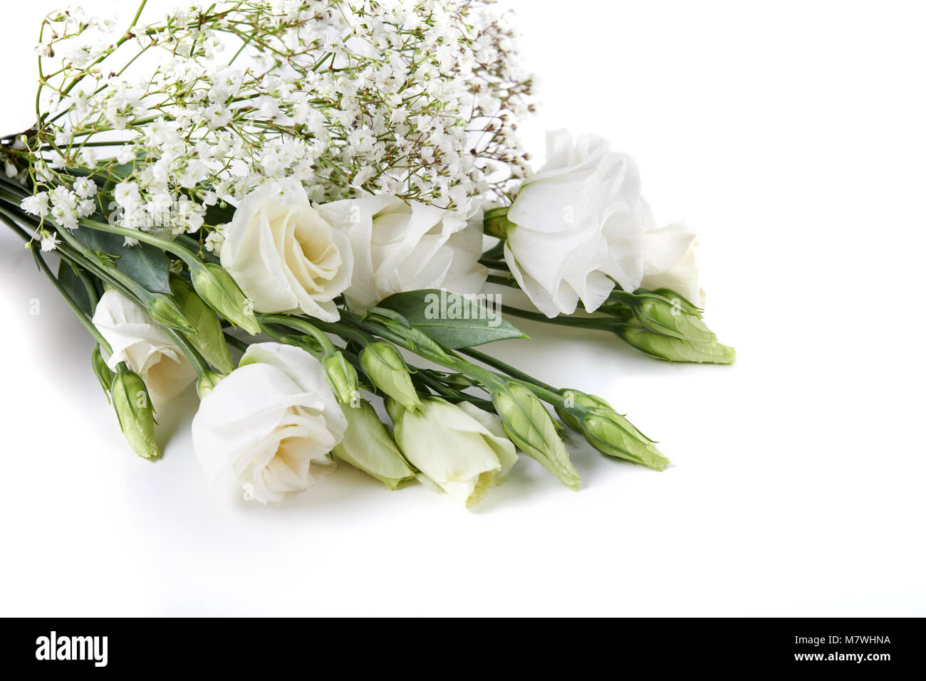 white flowers isolated on white background Stock Photo - Alamy