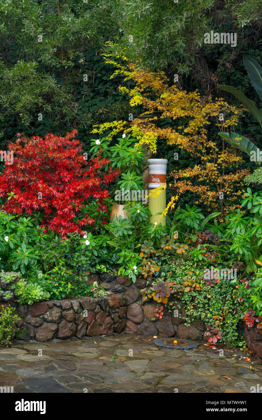 Garden Detail, Cypress Garden, Mill Valley, California Stock Photo