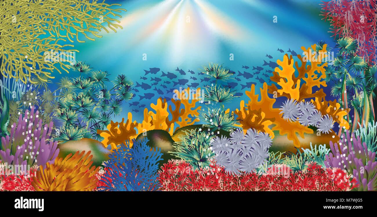 Underwater tropical wallpaper, vector illustration Stock Vector Image ...