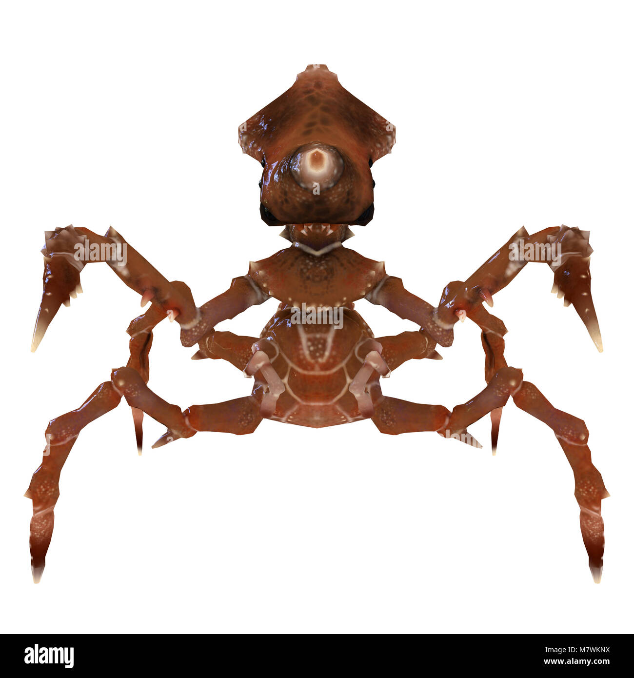 3d insect crab monster front standing. Stock Photo