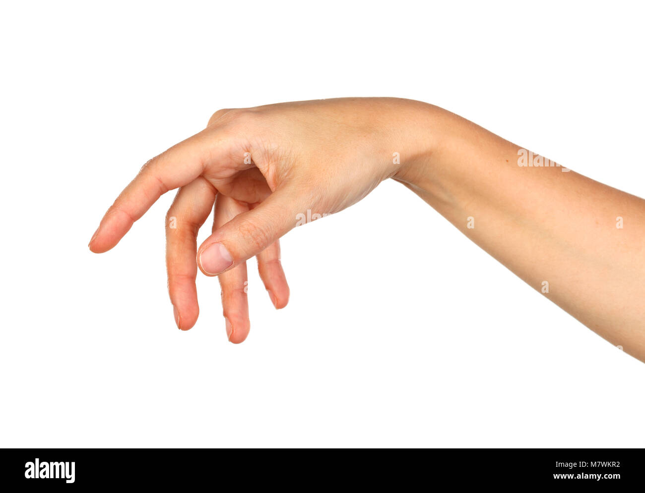 Female hand isolated on a white background Stock Photo - Alamy