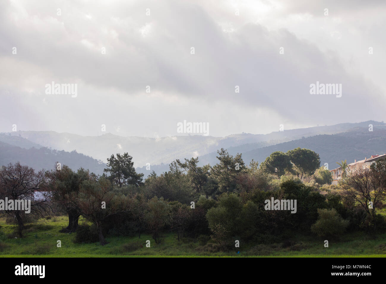 cloudy sky above the green hills and trees Stock Photo - Alamy