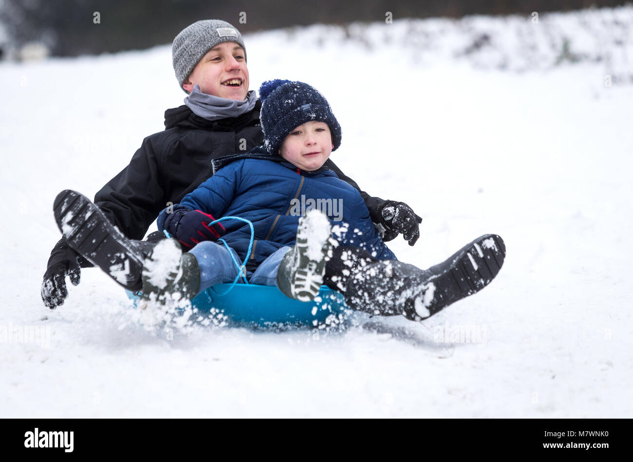 boys playing in the snow in The New Forest, Hampshire, UK Stock Photo