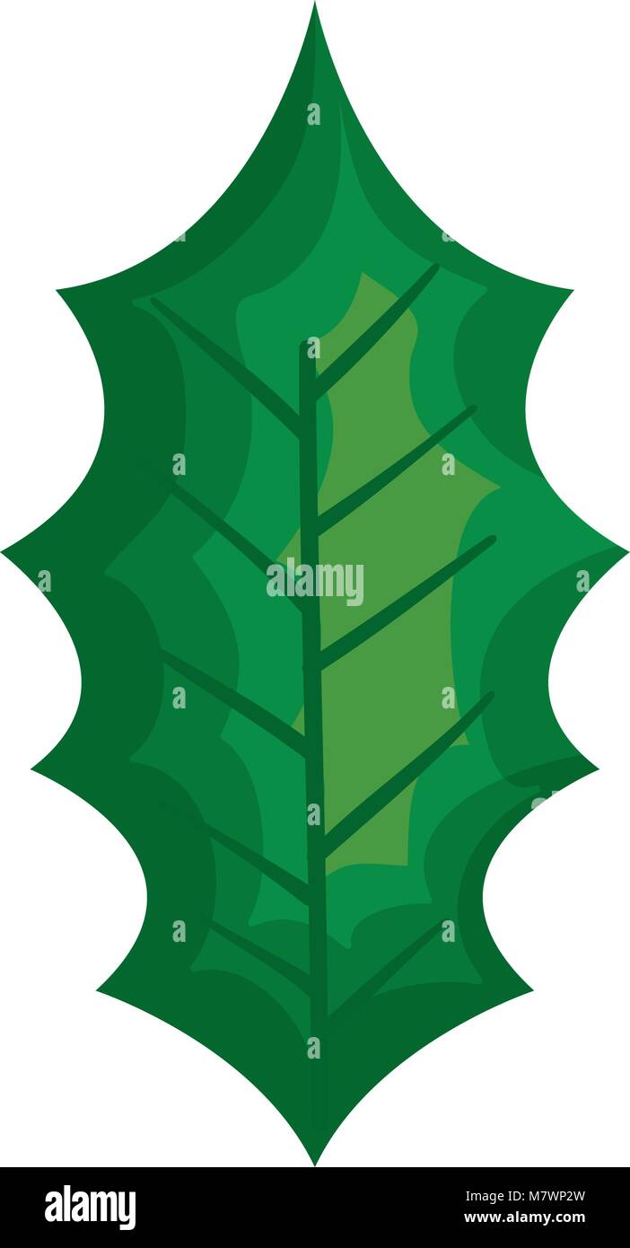 leaf plant isolated icon Stock Vector Image & Art - Alamy