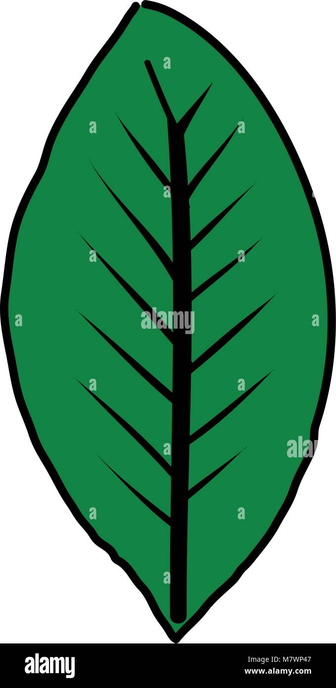 leaf plant isolated icon Stock Vector Image & Art - Alamy