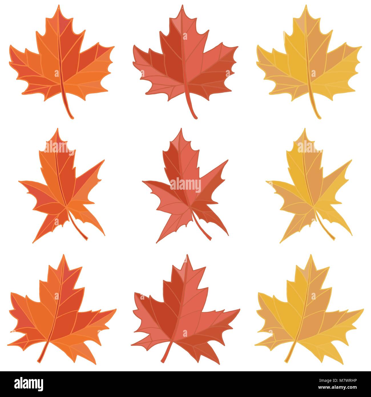 Maple leaf vector illustration. Foliage design collection Stock Vector ...