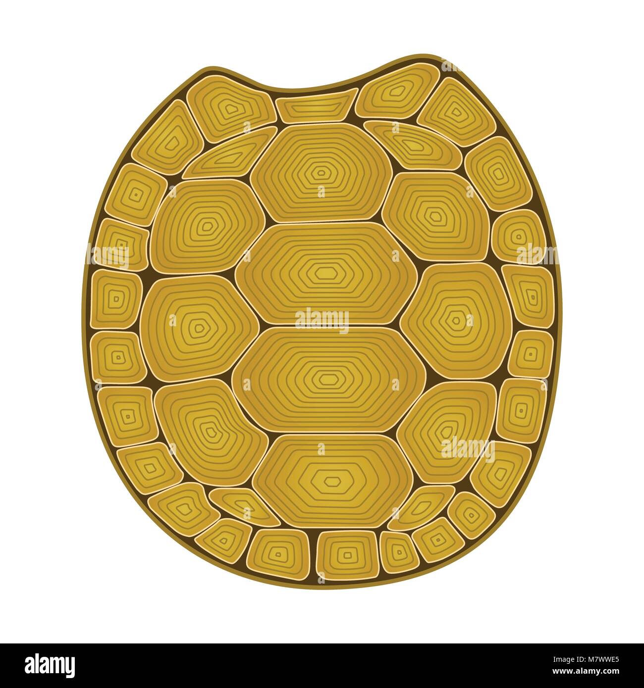 Carapace turtle Zen Tangle. Coloring book for adult with ...