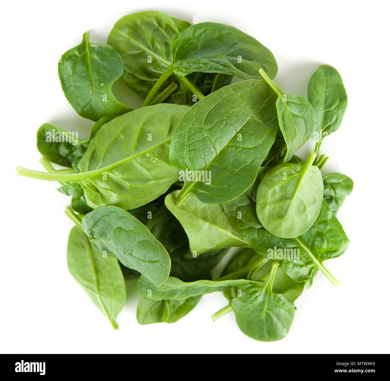 Baby spinach leaves Stock Photo - Alamy