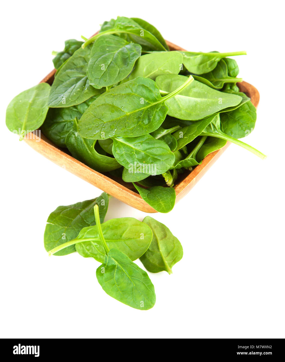 Baby spinach leaves Stock Photo Alamy