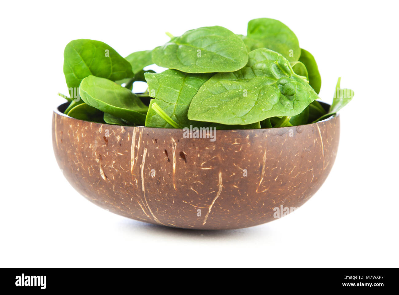 Baby spinach leaves Stock Photo