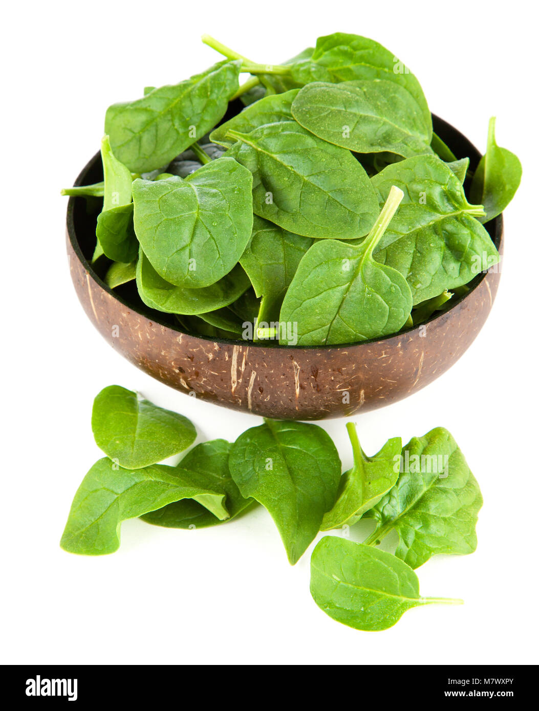 Baby spinach leaves Stock Photo - Alamy