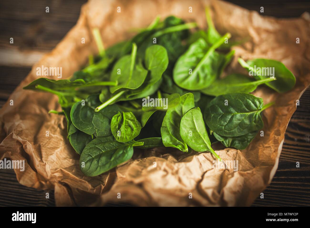 Baby spinach leaves Stock Photo Alamy