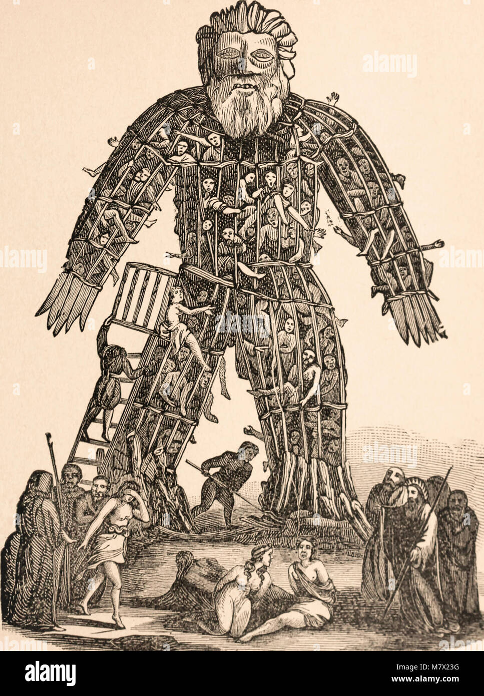 Wicker man.  Large wooden or cane hollow wickerwork statue used by Druid priests.  Reportedly, victims were placed in the structure and then burned to death as a form of sacrifice to the gods. From an early 19th century print. Stock Photo