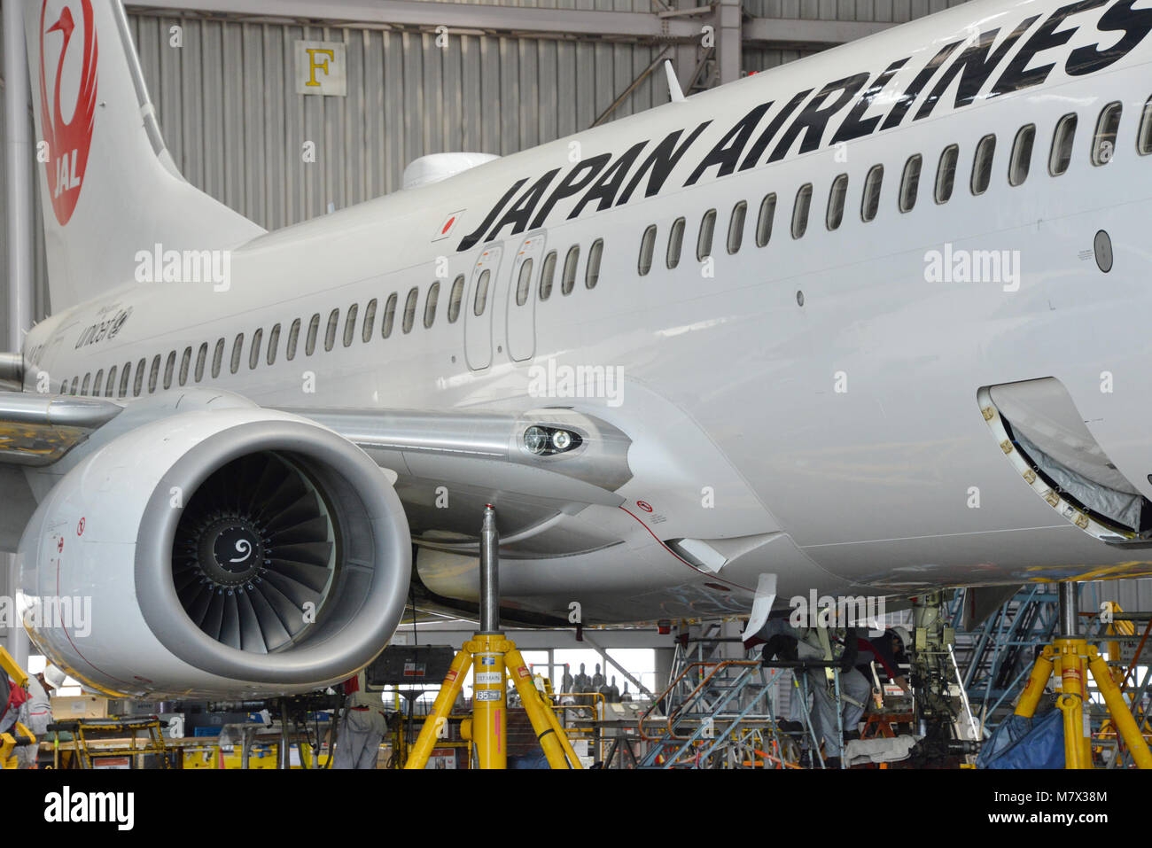 Japan, Tokyo: Boeing 737 in a Japan Airlines maintenance hangar (JAL ...