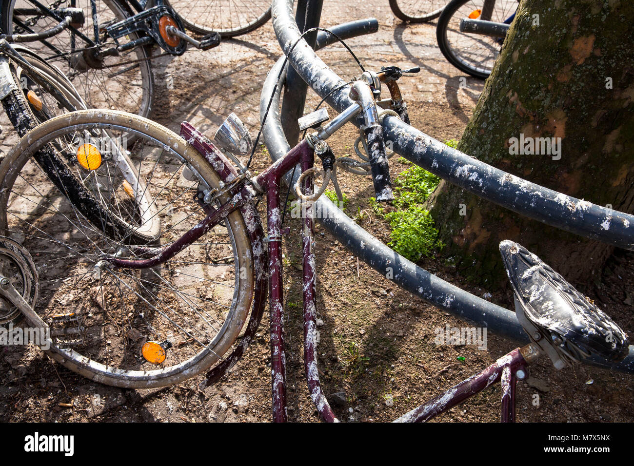 Germany, Cologne, with bird droppings covered bicycles in the city.  Deutschland, Koeln, mit Vogelkot verdreckte Fahrraeder in der Innenstadt. Stock Photo