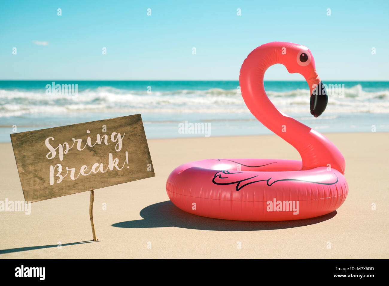 a signboard with the text spring break written in it next to a swim ...