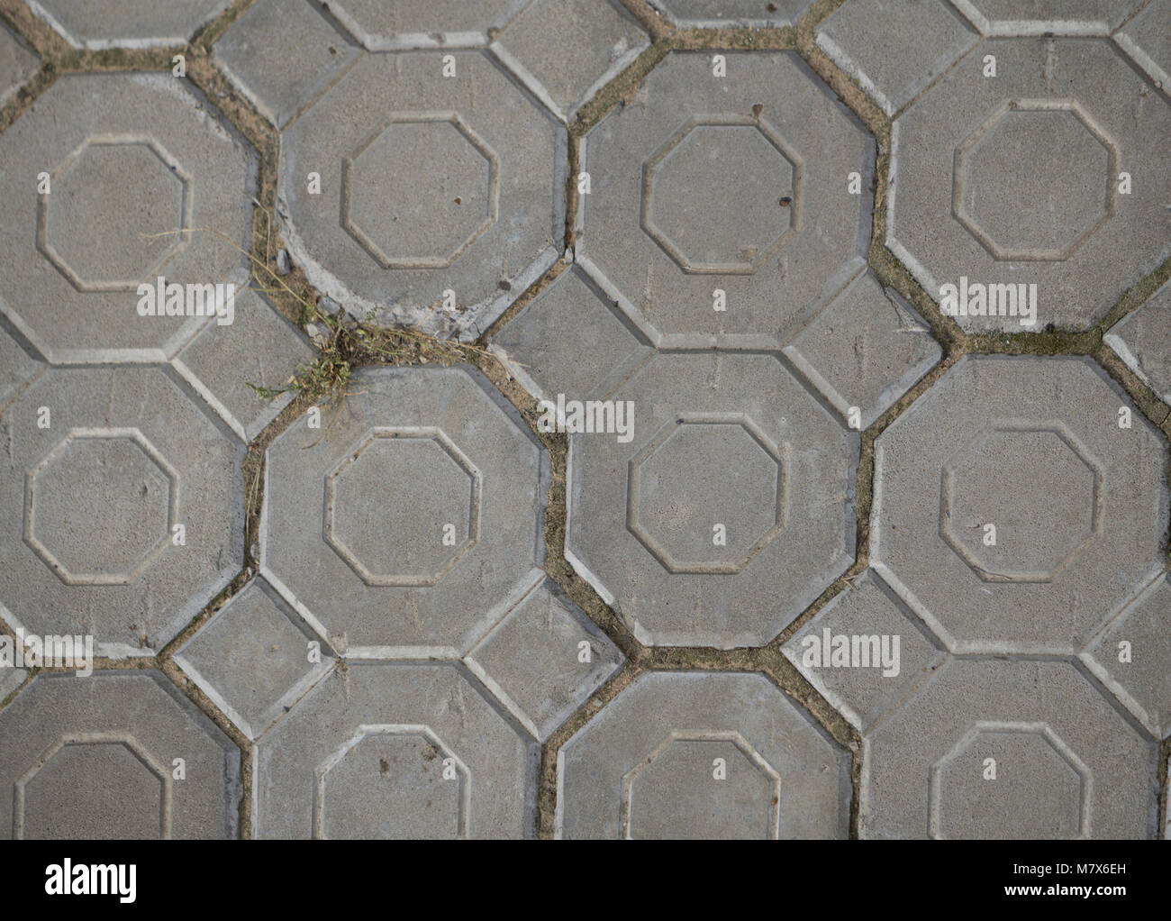 Abstract background - gray paving slabs in the form of squares. Stock Photo