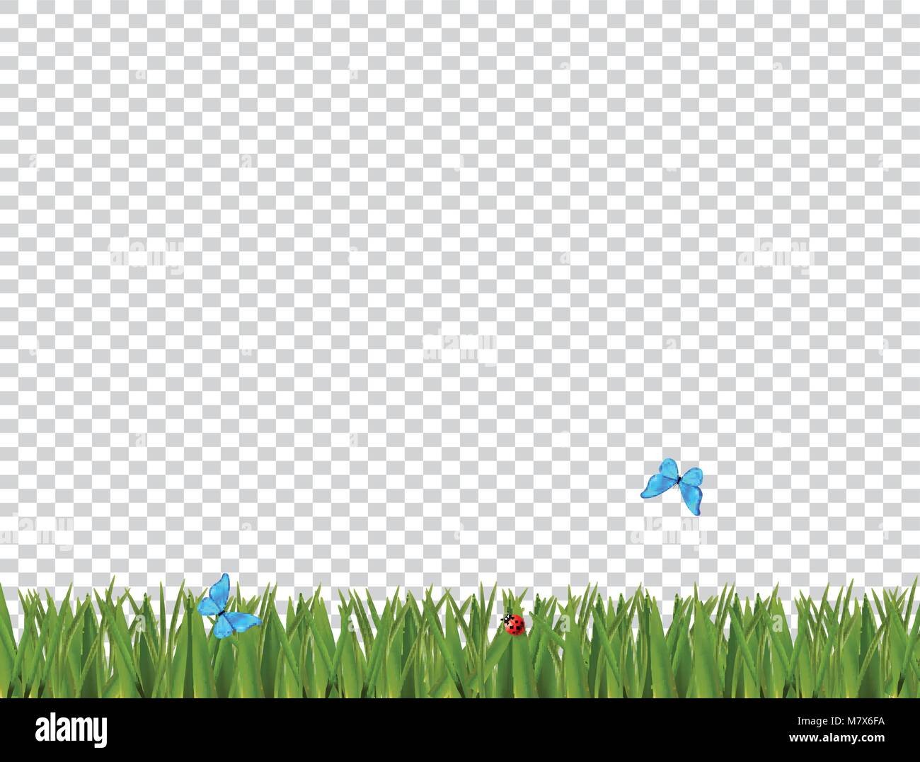 Green realistic grass border with ladybug and blue butterflies isolated ...