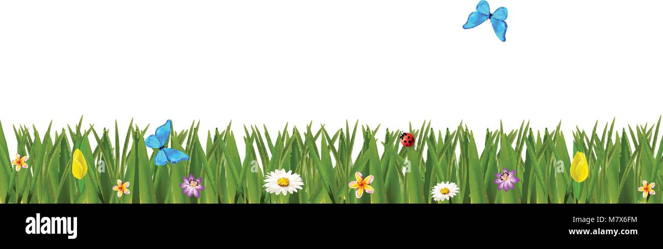 Green realistic grass border with colorful flowers and butterflies ...