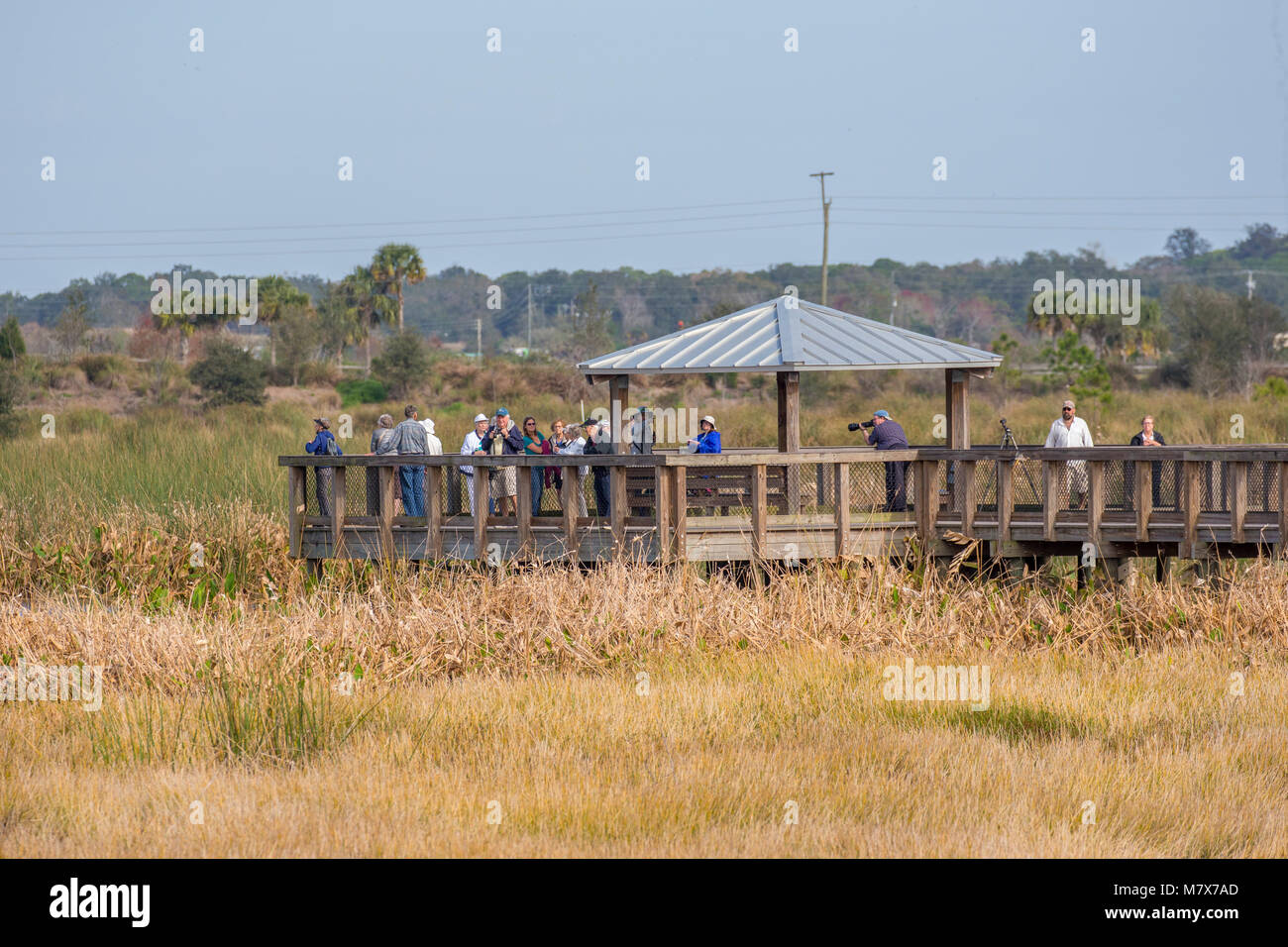 Observation platform at the Celery Fields nature area in Sarasota