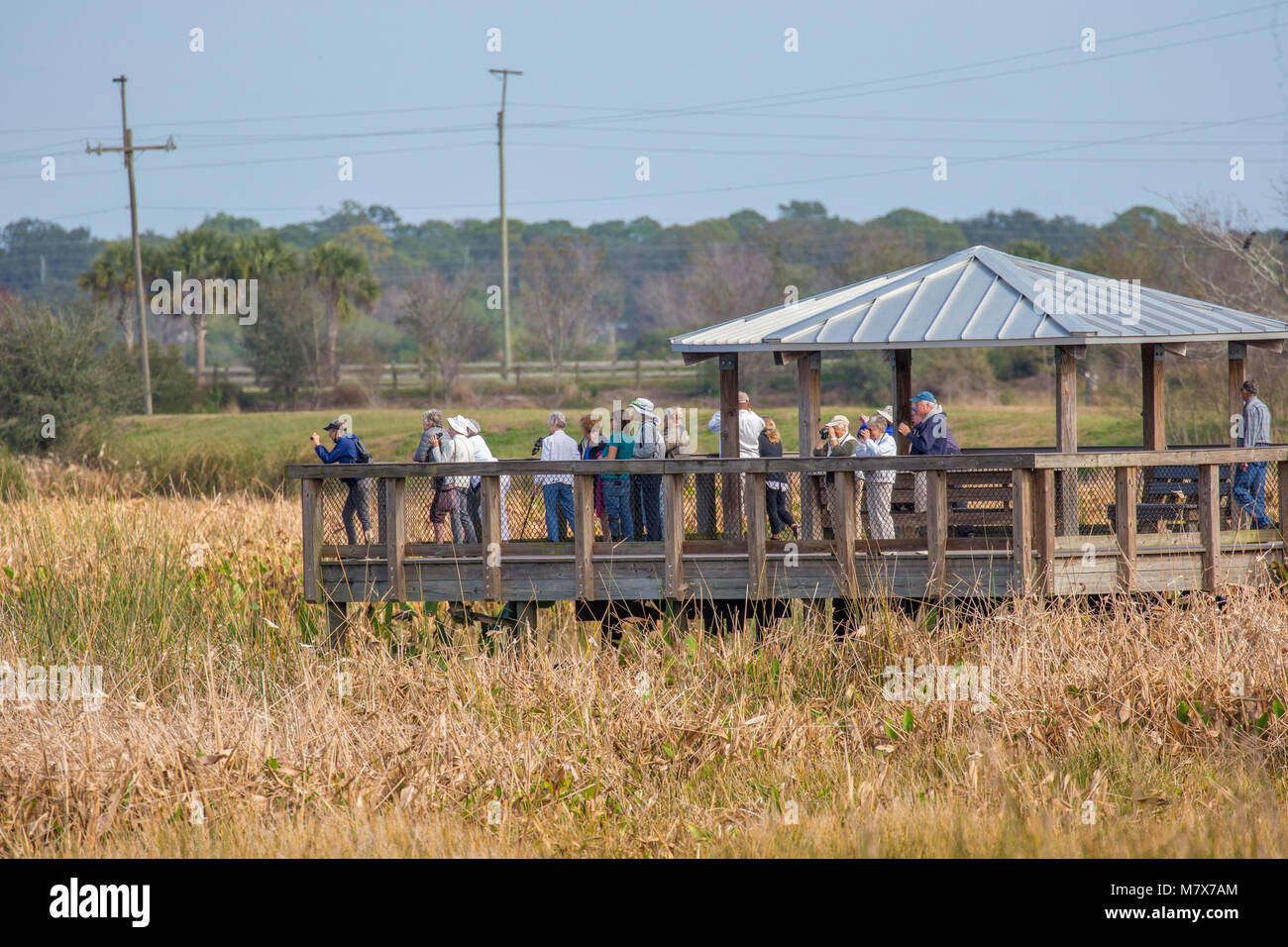 Observation platform at the Celery Fields nature area in Sarasota Florida Stock Photo