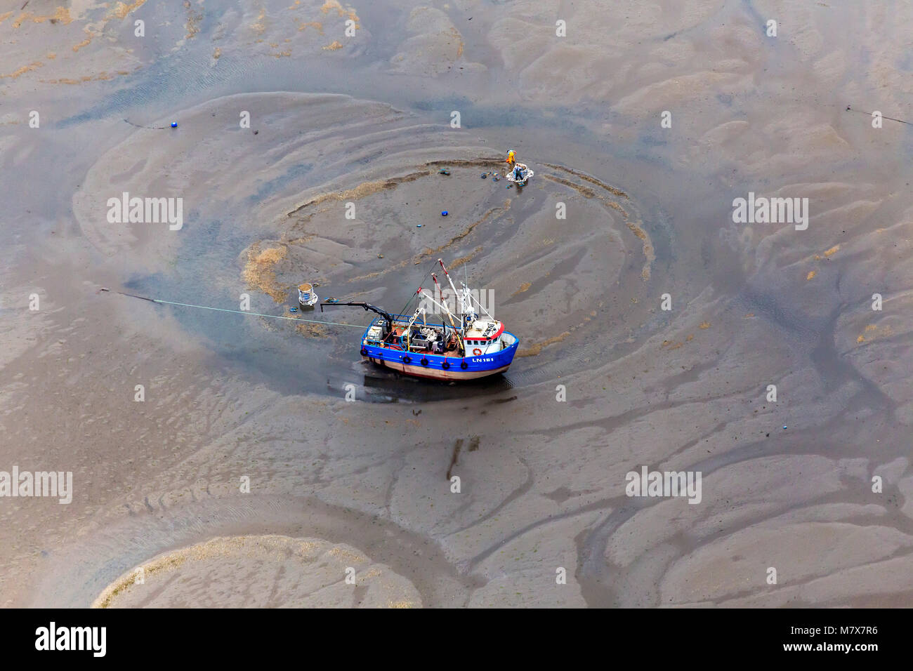 Controversial methods of Cockle fishing. Cockle boats at low tide in the Wash, showing the circles they produce in the mud churned up by their props Stock Photo