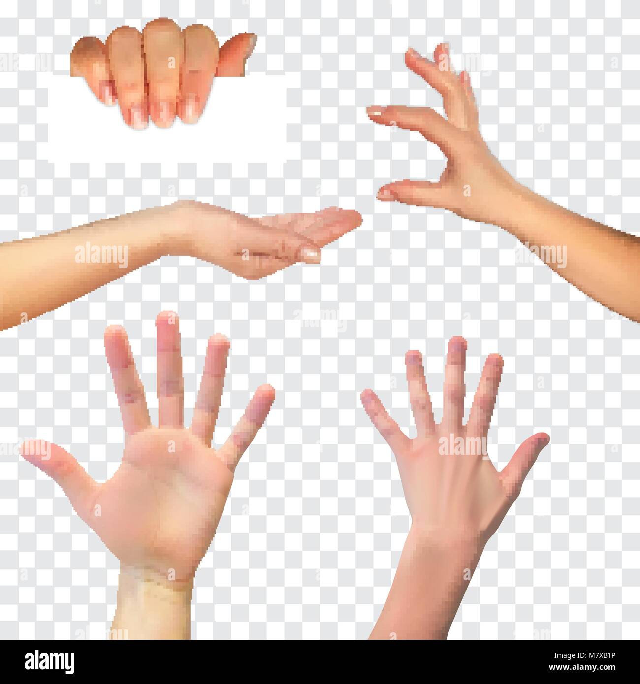 Realistic 3D Silhouette of  hand on White Background. Vector Illustration Stock Vector