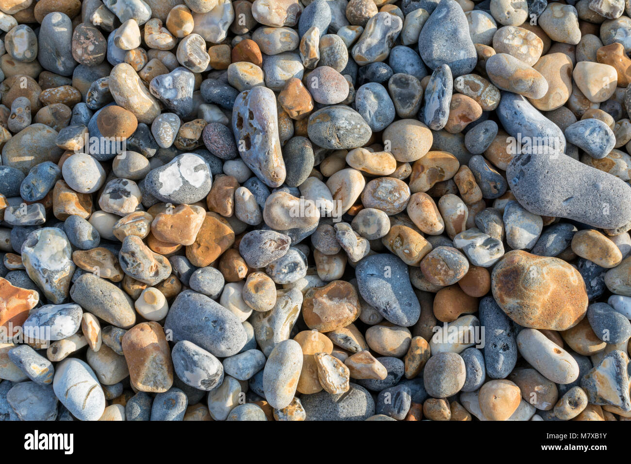 Close-up of shingle on the beach at Bexhill-on-Sea with a mix of grey, ochre and bluey-white pebbles of different sizes Stock Photo