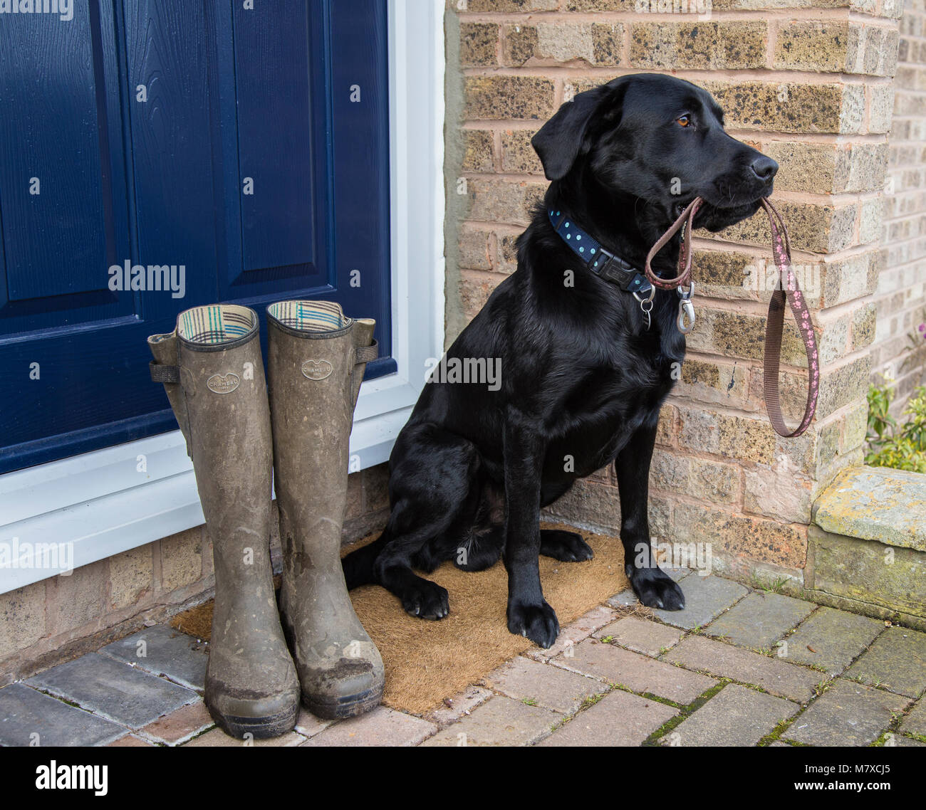 Shiny wellies hotsell