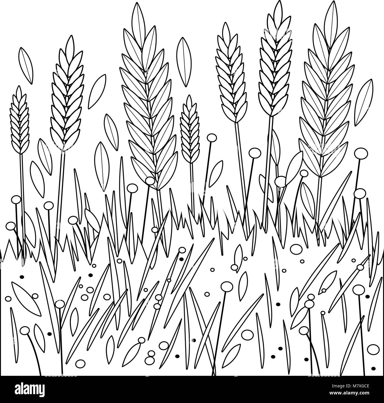Field of wheat, barley or rye. Black and white coloring book page Stock Vector