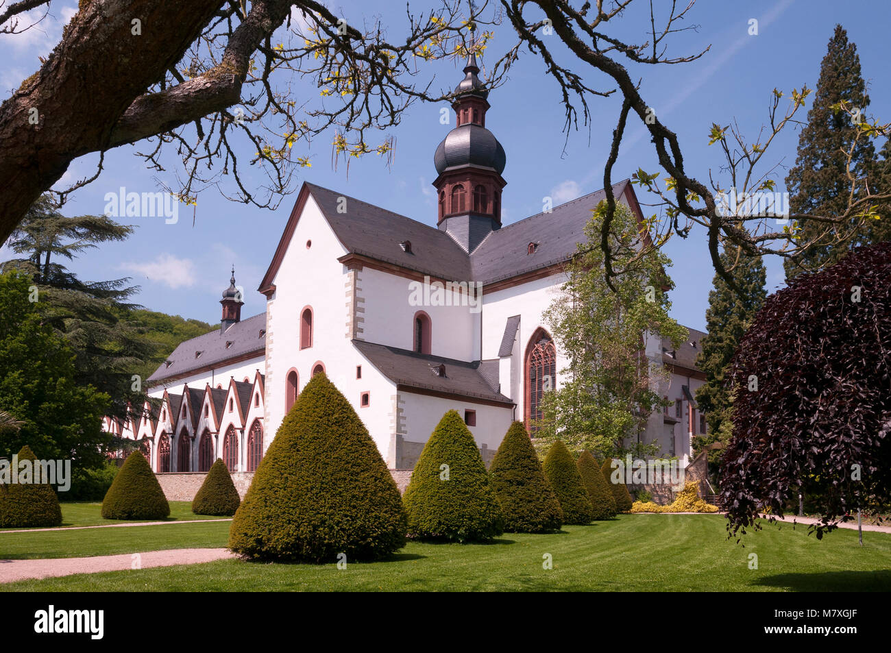 Kloster Eberbach, Rheingau, Hessen, Deutschland, Europa Stock Photo