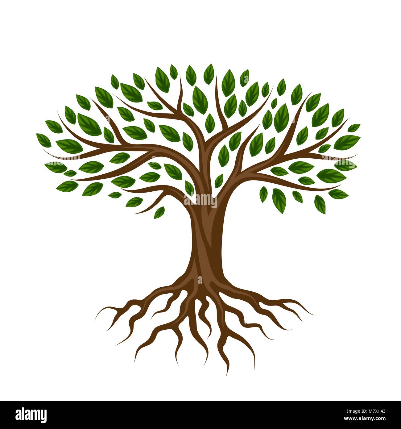 Abstract Stylized Tree With Roots And Leaves Natural Illustration Stock Vector Image Art Alamy