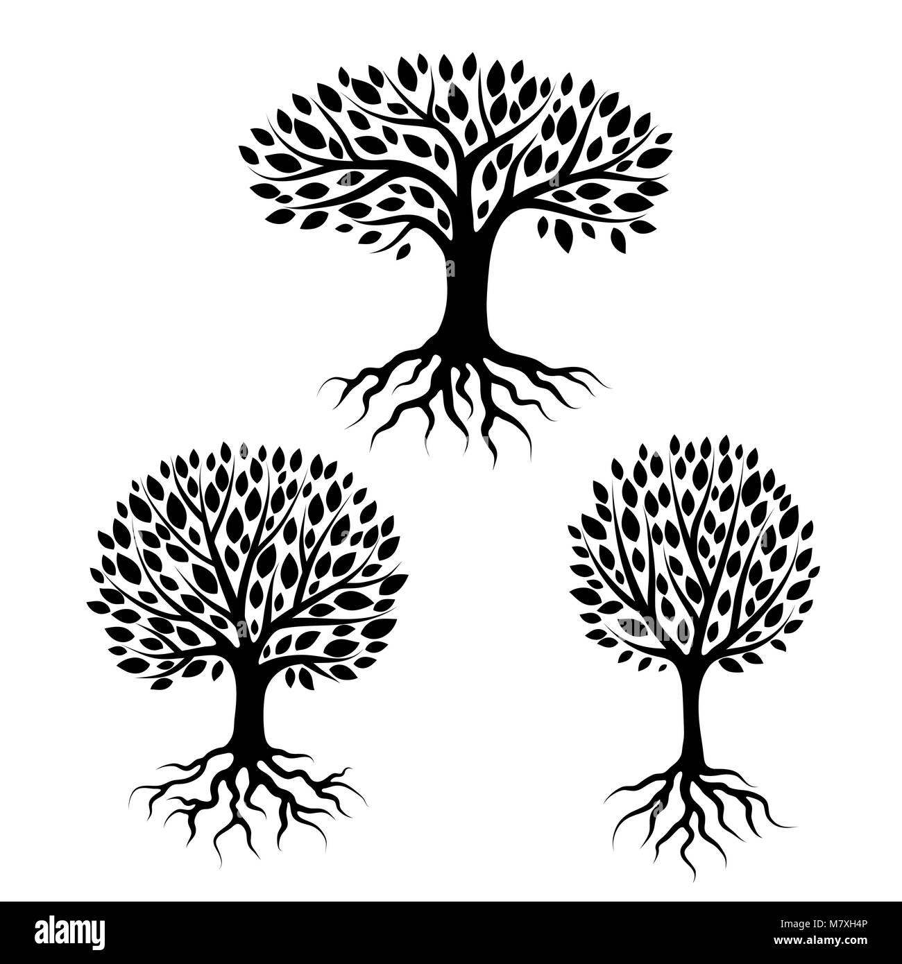 Set of abstract stylized trees with roots and leaves. Natural illustration Stock Vector