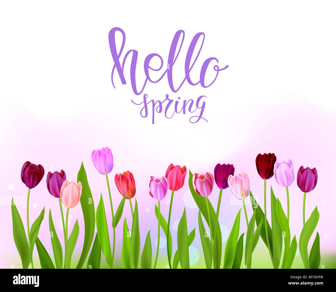 Hello spring design floral Stock Vector Images Alamy