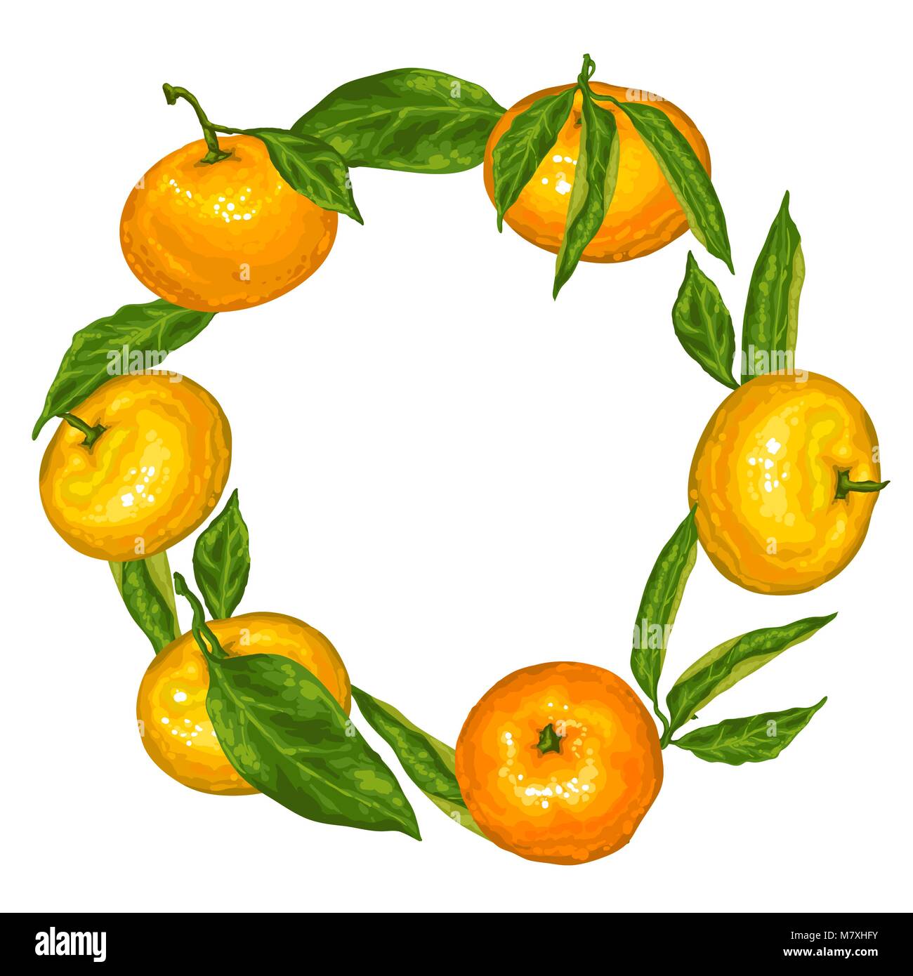 Frame with mandarins. Tropical fruits and leaves Stock Vector