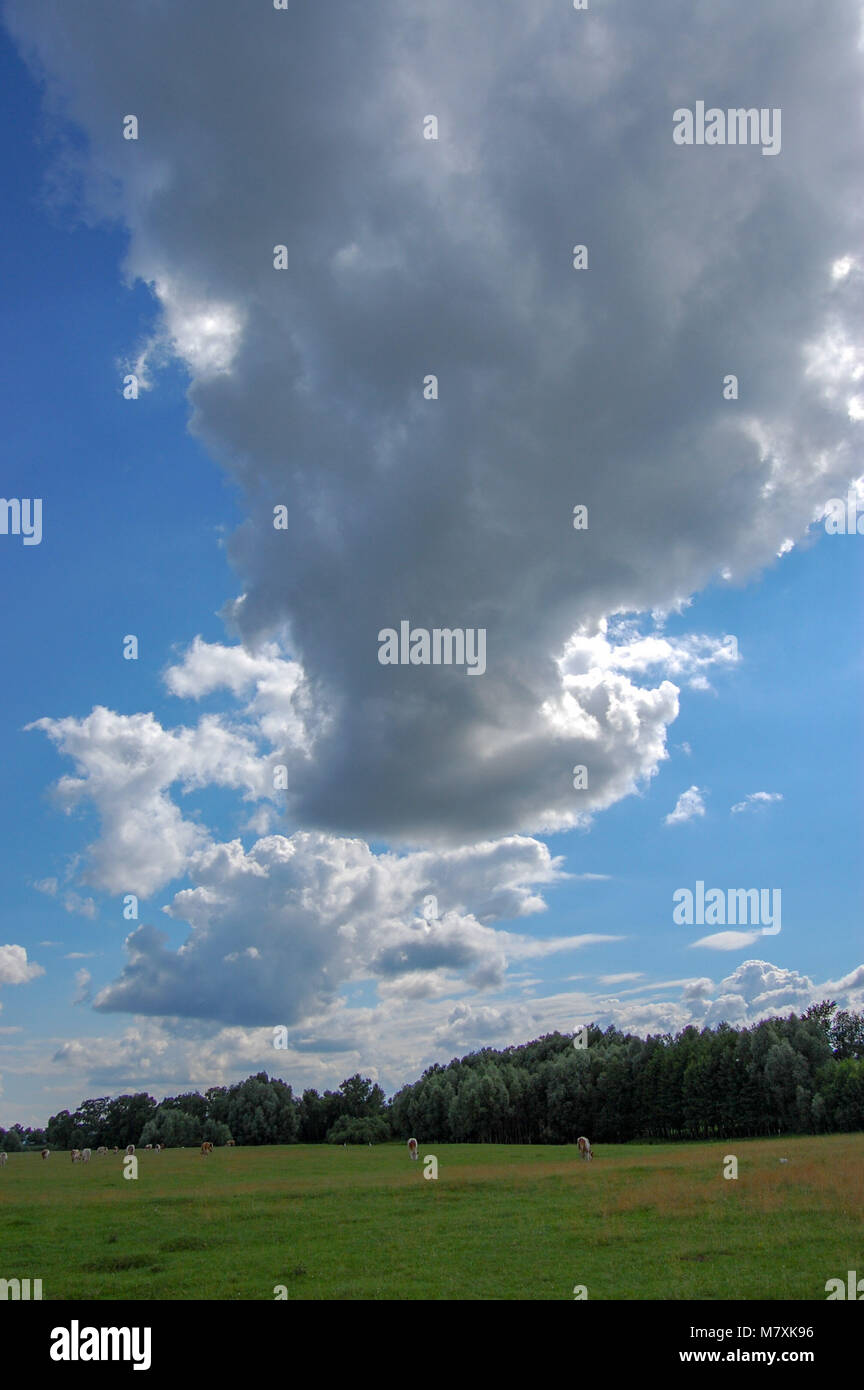 Summer spring landscape in sunny day Stock Photo - Alamy